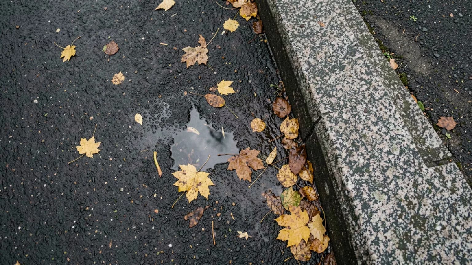Mokry chodnik przy granitowym krawężniku z jesiennymi liśćmi i kałużą